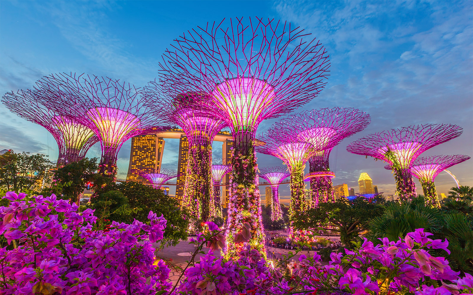 Gardens by the Bay Light Show Tips, Timings & More